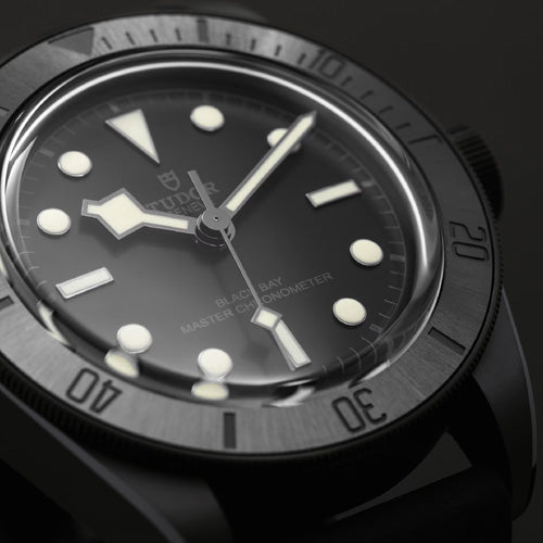 Tudor Black Bay Ceramic Black Dial Men 41mm M79210CNU-0001