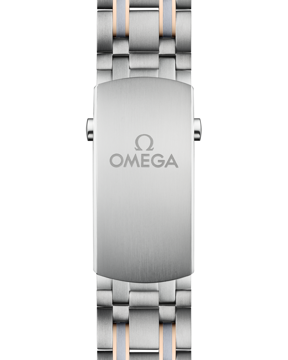 Omega Seamaster Diver 300M Co‑Axial Master Grey Dial Men 42MM