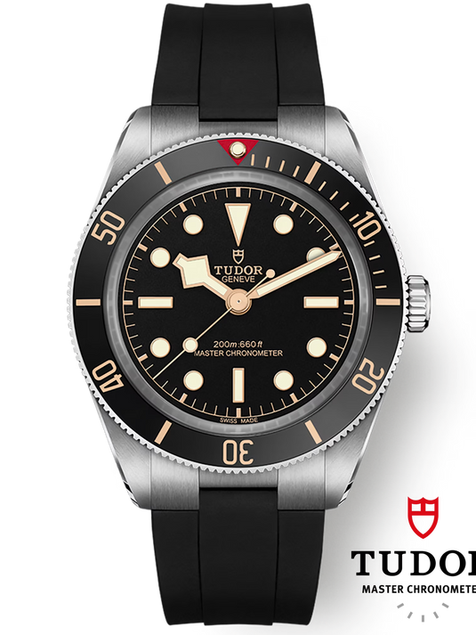 Tudor Black Bay Black Dial Automatic Men M7939A1A0NU-0003