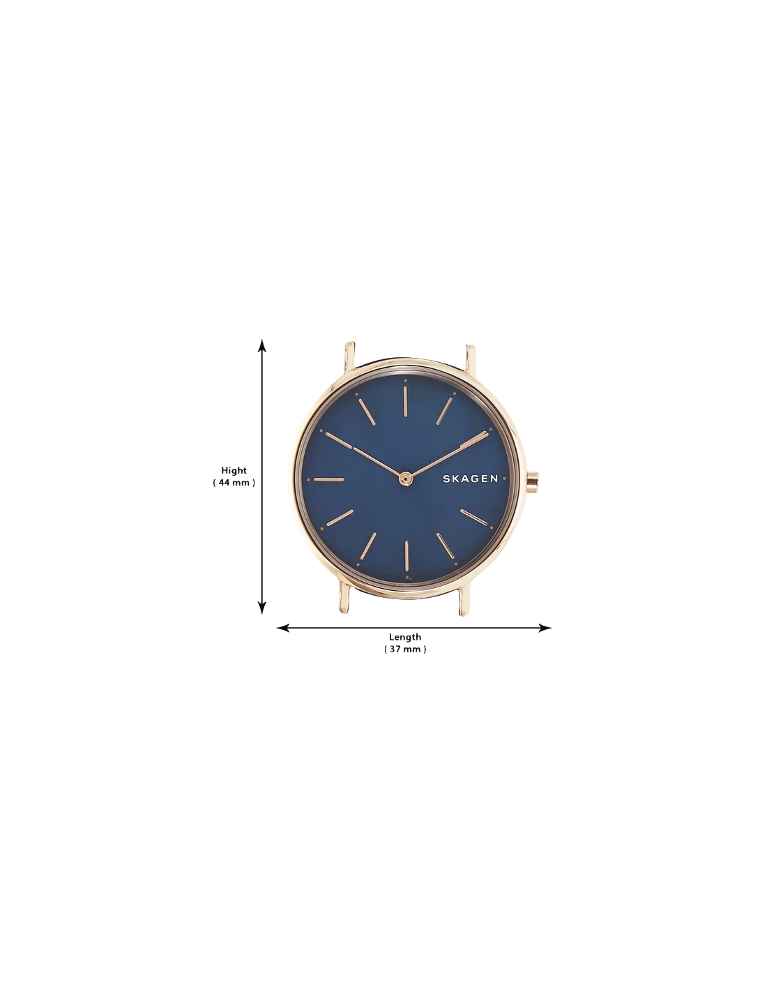 Signatur Navy Dial & Leather Strap